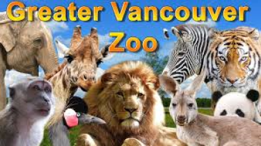 The Greater Vancouver Zoo