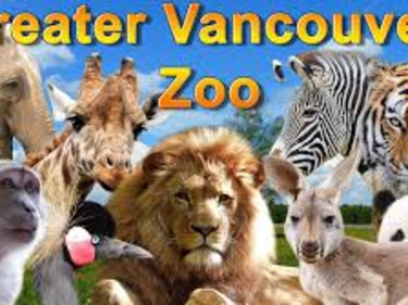 Greater Vancouver Zoo