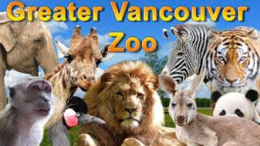 Greater Vancouver Zoo