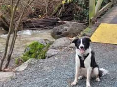 Stoney Creek, Bateman Park