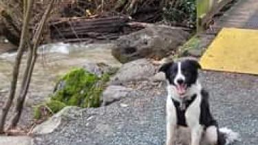 Stoney Creek, Bateman Park