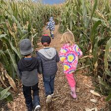 School Wide Field Trip