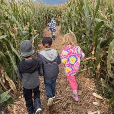 School Wide Field Trip